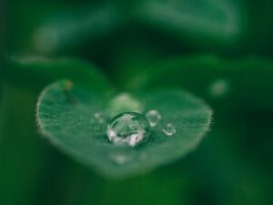 ISO 14001 leveranciers