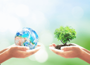 ISO 14001 milieueisen